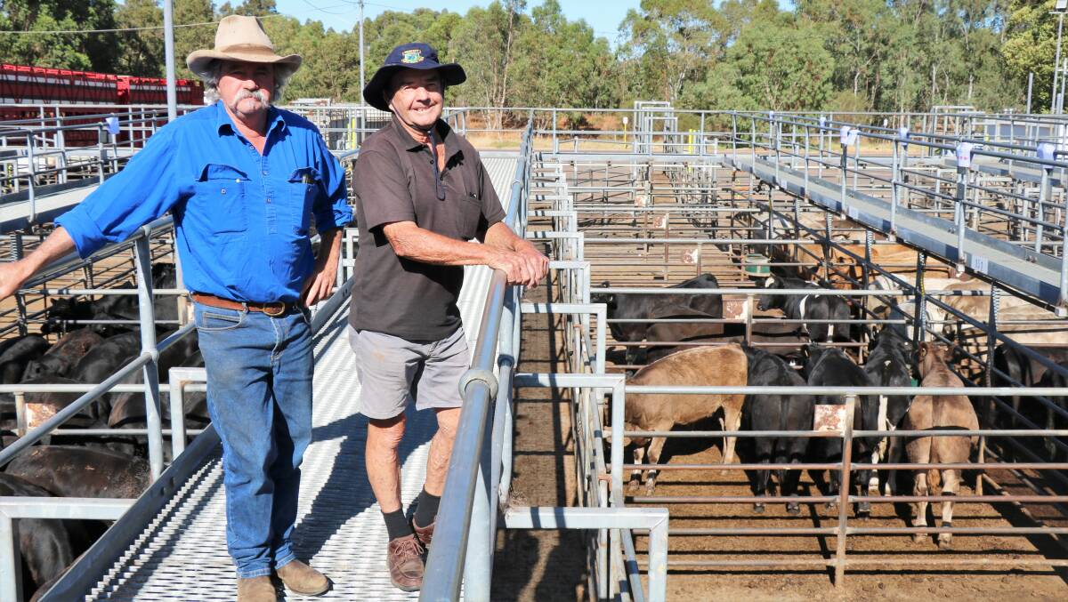 Lance Ockwell (left), Pemberton, trucked calves to the sale and was with Don Kamman, Manjimup before the sale. Mr Ockwell represented the Roche Family Trust while Mr Kamman had his agent buy several pens.