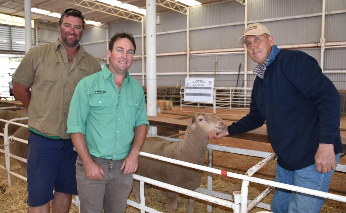 The $1800 top price White Suffolk buyer Ricky Mott (left), Dumbleyung, with Dumbleyung Nutrien Livestock agent and sale co-ordinator Scott Jefferis and vendor Keith Ladyman holding the top price ram at this year's Wagin ram sale.