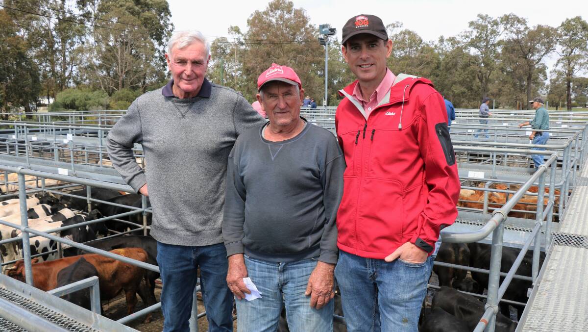 Graham Payne (left), Alexandra Bridge, Clive Elson, Karridale and Elders South West livestock manager Michael Carroll were on the rails before the sale. The Elson family sold 350kg Friesian steers for $1260.