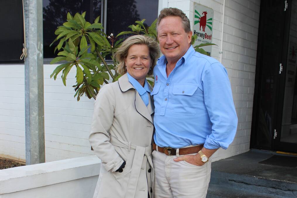 WA agricultural and mining magnates Nicola and Andrew Forrest purchased the premium pastoral leases of Jubilee Downs and Quanbun Downs, near Fitzroy Crossing. The sale included 221,408ha of land and 11,500 prime Droughtmaster cattle, paying a little over $30m.