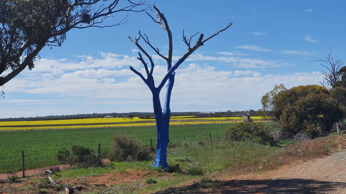 Scattered around rural WA are blue trees, which remind us to check in with our own mental health and of those around us and that it's OK to have a blue day.
