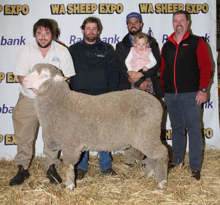 The sales $20,000 equal top-priced ram was sold by the Blight familys Seymour Park stud, Highbury, to the Wililoo stud, Woodanilling. With the March shorn Poll Merino ram were Clinton (left) and Sheldon Blight, Seymour Park stud, buyer Rick Wise, Wililoo stud, holding his daughter Eva and Seymour Park stud classer Nathan King, Elders stud stock.