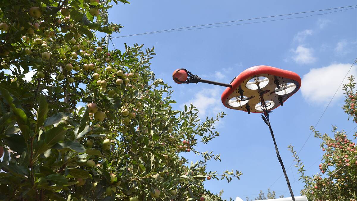Harvesting an apple with a flying autonomous robot developed by Tevel Aerobotics Technologies Ltd, Israel.