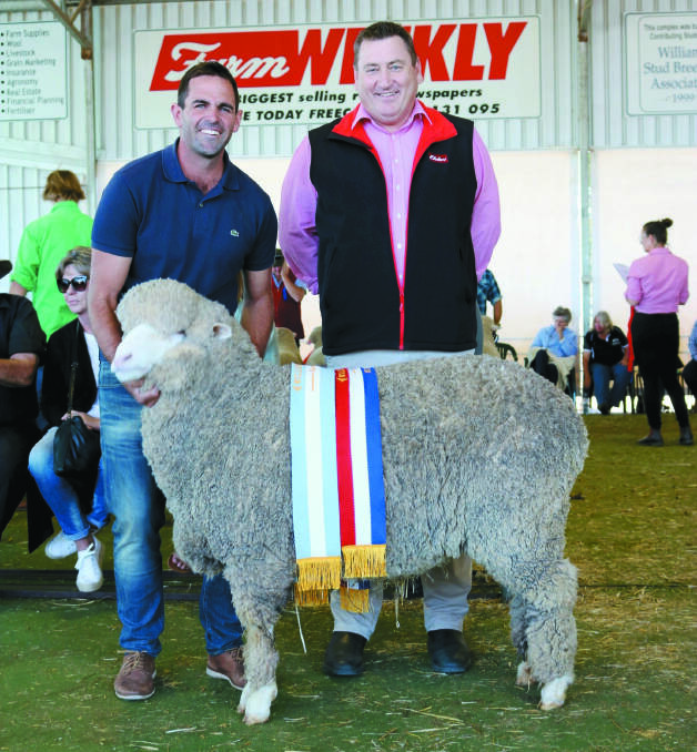 With the reserve grand champion and champion medium wool Merino ewe from the Navanvale stud, Williams, were stud co-principal Mitchell Hogg (left) and Elders stud stock manager Tim Spicer. Elders sponsored the award.