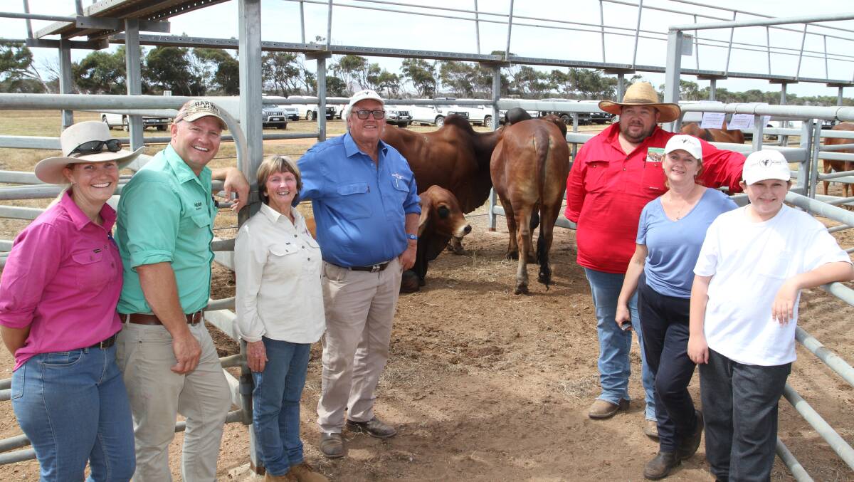  Shannon (left) and Chad Smith, Nutrien Livestock Northampton, Oakvale Brahman stud principals Carole and Reg Teakle, Northampton, Clint Avery, Elders Carnarvon, Nicole Teakle and her son Luke O'Donnell, Oakvale stud, pictured with some of the Oakvale bulls at the Narngulu Invitation Bos Indicus Bull Sale last week. Mr Avery purchased nine Oakvale bulls on behalf of Doorawarrah station, Gascoyne Junction and Mr Smith four bulls on behalf of Days Pastoral Company, Newman.