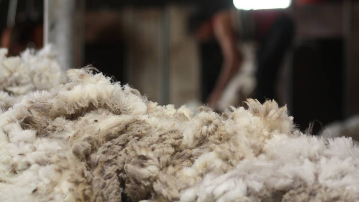 Development of a strategic long-term vision for the wool industry was a focus of Australian Wool Innovation.