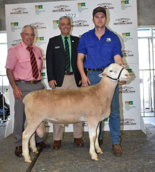 With the $22,500 top-priced British and Australasian breed ram for the 2022 ram selling season sold by the Yonga Downs White Suffolk stud, Gnowangerup, at the Perth Royal Show All Breeds Ram & Ewe Sale were Elders stud stock auctioneer Preston Clarke (left), Nutrien Livestock State manager Leon Giglia who represented the buyers the Ledwith familys Kolindale White Suffolk stud, Dudinin,
and Yonga Downs stud principal Brenton Addis.