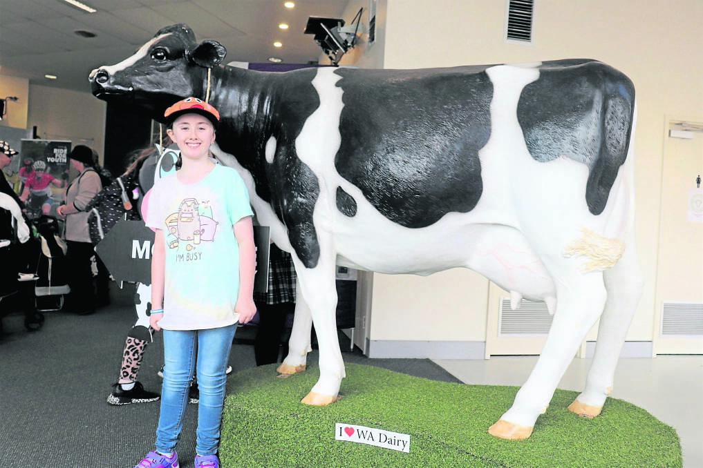 Emily Nicholas, 10, of Jane Brook, was one of many suburban Perth children who visited the returned dairy pavilion at the Perth Royal Show on Saturday to learn more about where milk comes from.