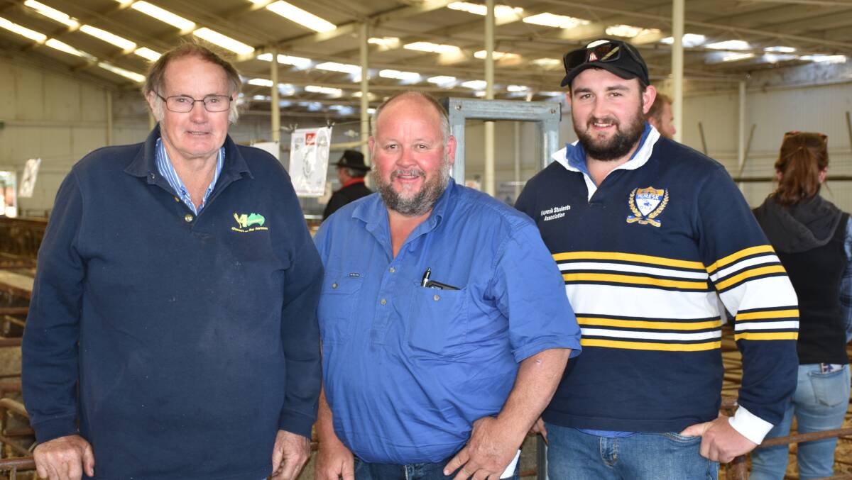 Colin (left), Gavin and Ashton Hagboom, Dowerin, were the main volume buyers at the Koobelup Dohne ram sale at Narrogin on Monday. They bought a total of 14 rams.