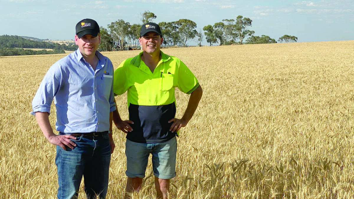 GrainGrowers chief executive officer David McKeon (left), South Australia and Rhys Turton, York, who will serve as a Western Region director for GrainGrowers.