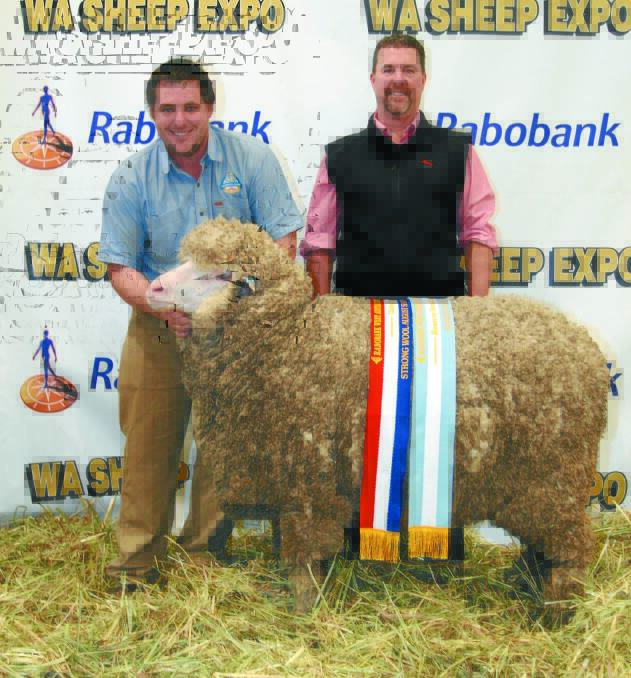RESERVE GRAND CHAMPION AUGUST SHORN EWE: With the reserve grand champion August shorn ewe and champion August shorn strong wool Poll Merino ewe exhibited by the Seymour Park stud, Highbury, were stud principal Clinton Blight (left) and Nathan King, Elders stud stock.