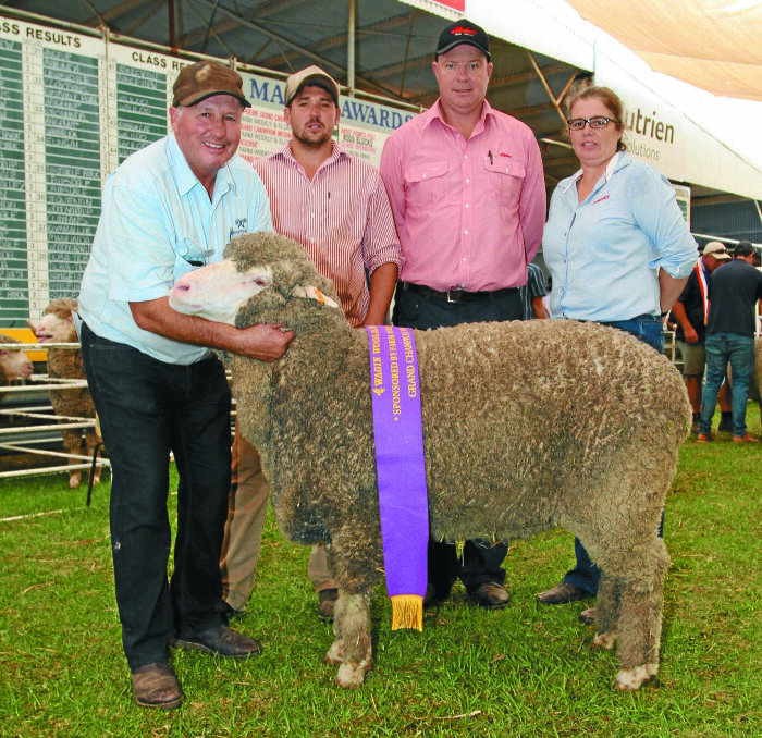 The grand champion Merino ewe at the 2021 Woolorama was exhibited by the Woodyarrup stud, Broomehill. With the champion strong wool Merino ewe were Woodyarrup stud principals Craig (left), and Lachlan Dewar and sponsors Travis King, Elders and Jodie Rintoul, Farm Weekly.