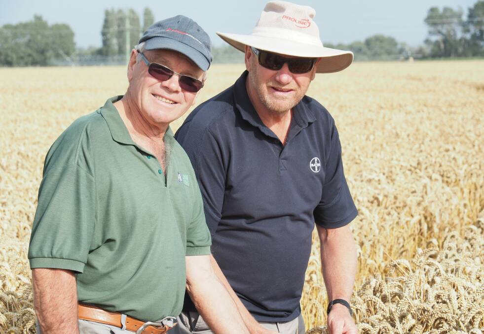 New Zealand farmer Eric Watson (left), pictured with Bayer's David Weith, smashed his own world record in July by growing a paddock that averaged an incredible 17.4 tonnes a hectare of wheat. He farms near Ashburton, on New Zealand's South Island, in the heart of the legendary Canterbury Plains, which features some of the best agricultural ground anywhere on earth.