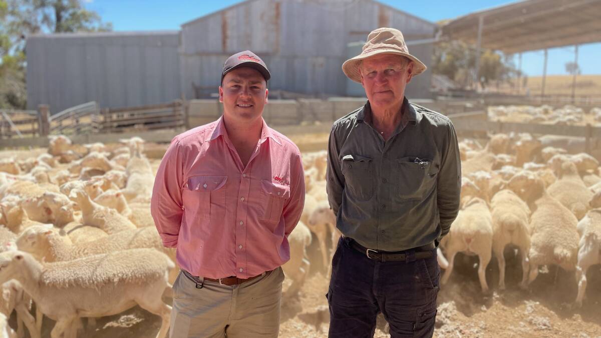 Liam Want (left), Elders Kojonup livestock representative and Neil Abbott, Moodiarrup, with the pen of 71, 1.5yo, unshorn UltraWhite ewe hoggets sold for the sales top-price of $449.