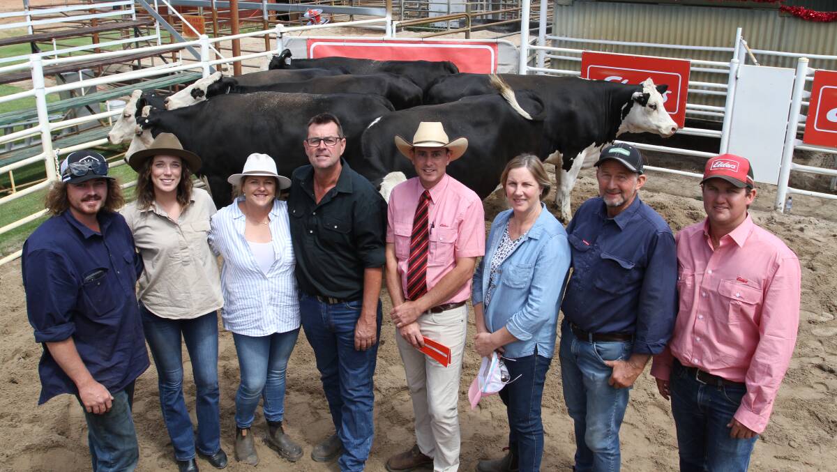Values topped at $3500 at this years Elders Springing Heifer Sale at Boyanup last week for a pen of six PTIC Hereford-Friesian heifers syncro AI mated to a Limousin bull to calve from January 20 to February 9, 2024, offered by KS & EN Roberts & Co, Elgin and purchased by the Dunnet family, OM Dunnet & Co, Nannup. With the top-priced pen of heifers were Jaymon Dunnet (left), Teagan McGregor, Kerrie and Kim Dunnet, OM Dunnet & Co, Elders South West livestock manager and sale co-ordinator Michael Carroll, vendors Loretta and Michael Roberts and Elders Boyanup representative and sale co-ordinator Alex Roberts.