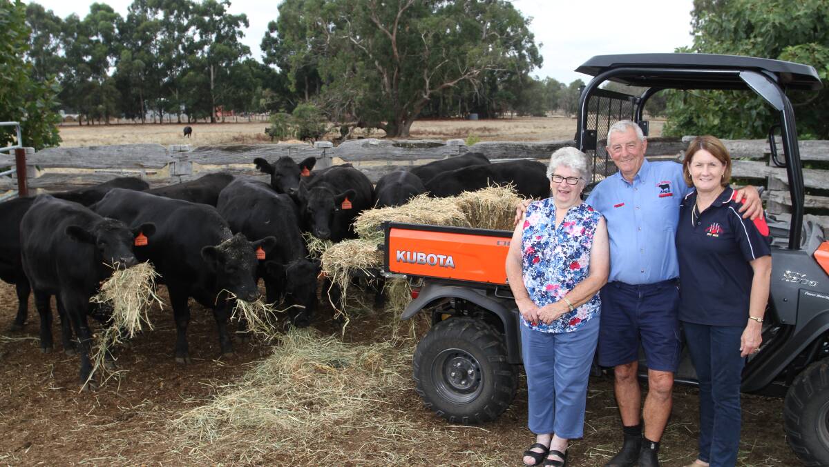  Jennifer Colum (left) with the Angus heifers delivered by their breeders John and Christine Bendotti on Sunday and the new Kubota RTV she collected from the showrooms of E & MJ Rosher last week.