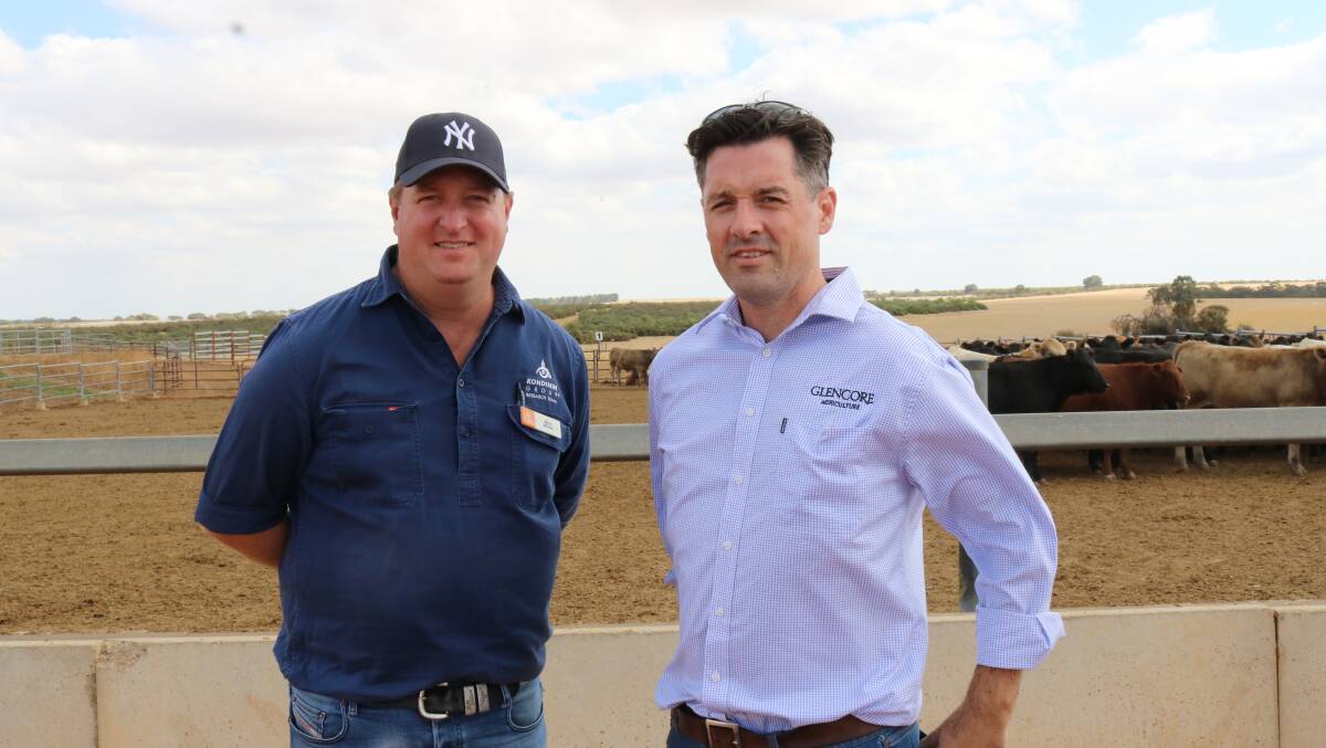 Two of the speakers on day two at Ucarty Feedlot, Dowerin, were Ben White (left), Kondinin Group and Tim Giumelli, Glencore Agriculture.