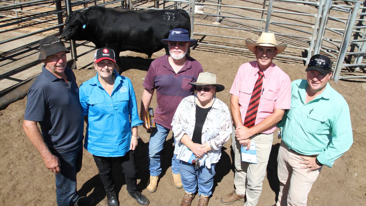 With the $9000 top-priced Black Simmental bull BHS Thunder T73 (PP) (ET) (by WS Proclamation E202) at the second annual Bullock Hills Simmental bull sale at Boyanup last week were Bullock Hills stud principals Brad (left) and Sylvia Patterson, Woodanilling, buyers Murray and Jan Bennett, Jabenco Trust, Kronkup, Elders South West livestock manager Michael Carroll and Nutrien Livestock, Bridgetown agent Ben Cooper.