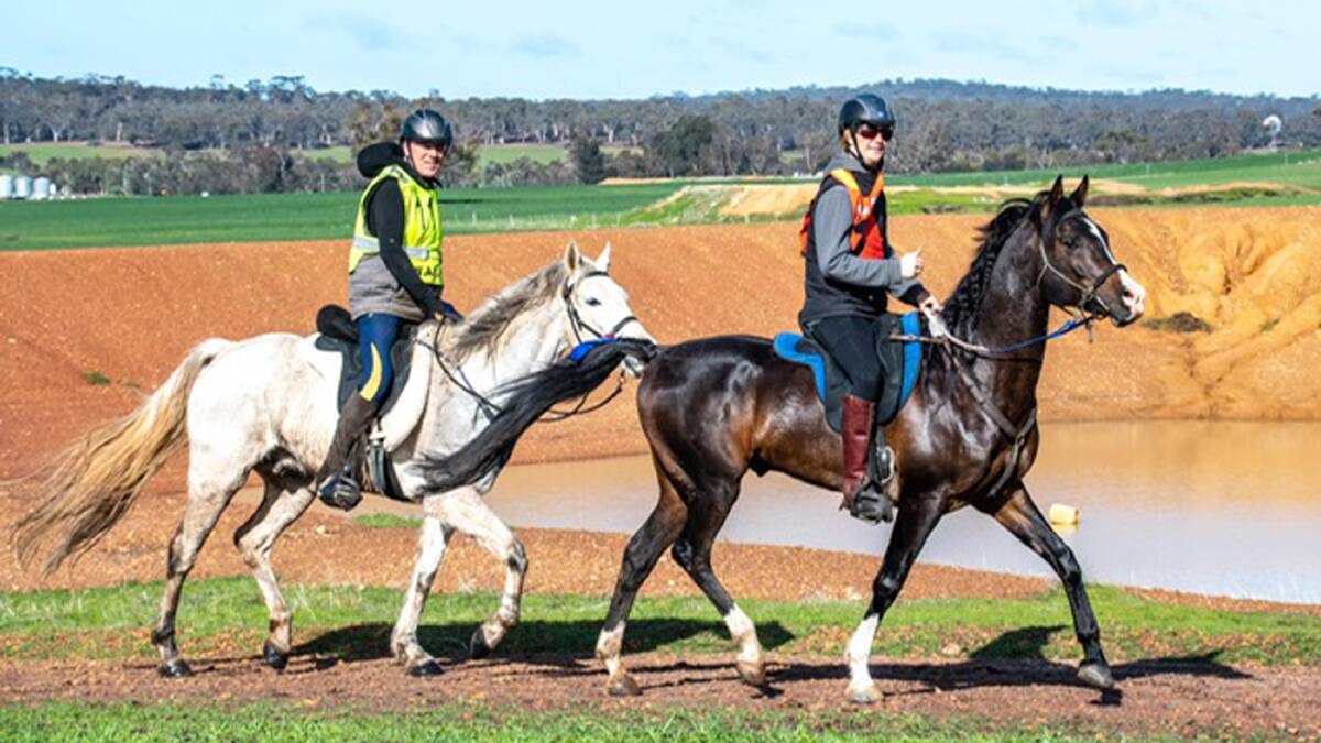 Kirsten Melis, riding Woodybrook Houdini and John Anderson, riding Ruoak Wholly Smoke are looking forward to the Tom Quilty event in Collie in 2021. Photos by Down Under Images.