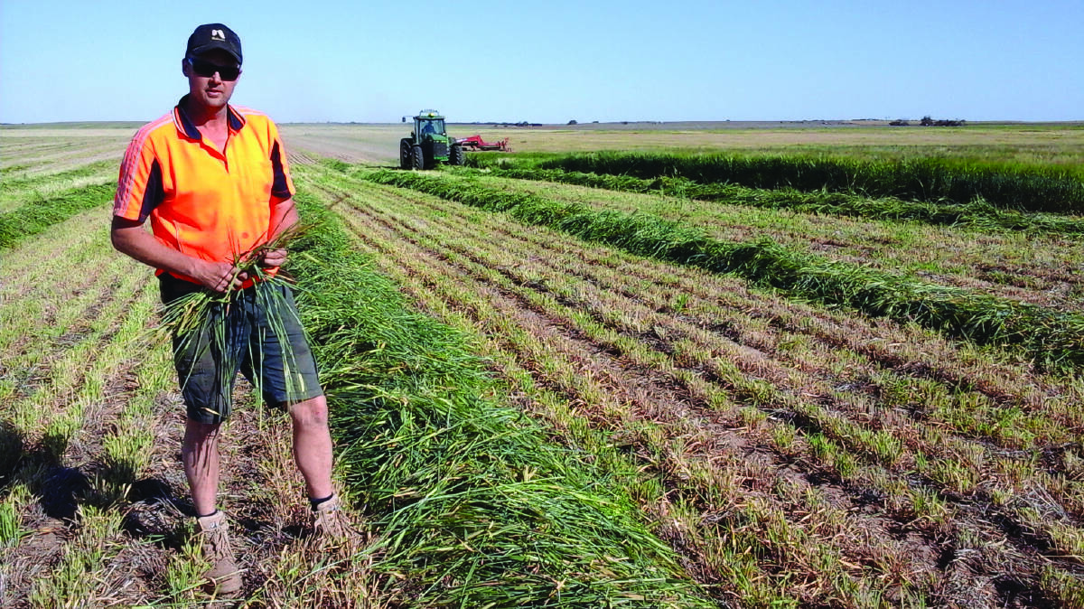 Pinaroo, South Australia, graingrower Wade Nickolls will outline his everything including the kitchen sink approach to keeping weed numbers low at WeedSmart Week forum in Mildura, Victoria, in August.