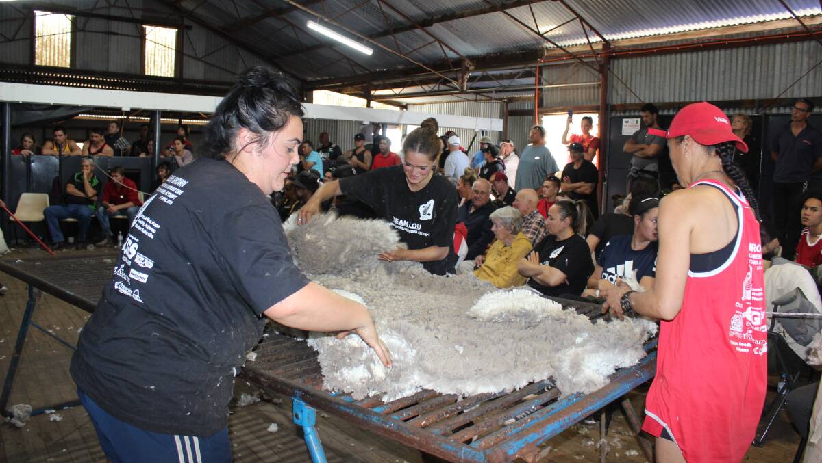 Wool classer Hailee Hiriaki (left) and wool handlers Latoya Te Kapa and Ralph Wharanere processing the wool during the record shear.