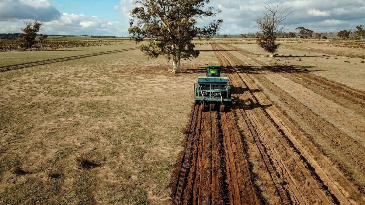 Under utilised farmland could put to good use as Greening Australia announced its desire to work with more landowners across the country. Photo: Jesse Collins.