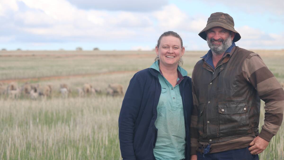 Kate and Owen Hayes-Thompson, Bruce Rock, are keen to maximise their feed potential for their 2400 Merino ewe flock, including harvesting paddocks with a stripper front, leaving the majority of the wheat stalk for extra feed and protection for their sheep.