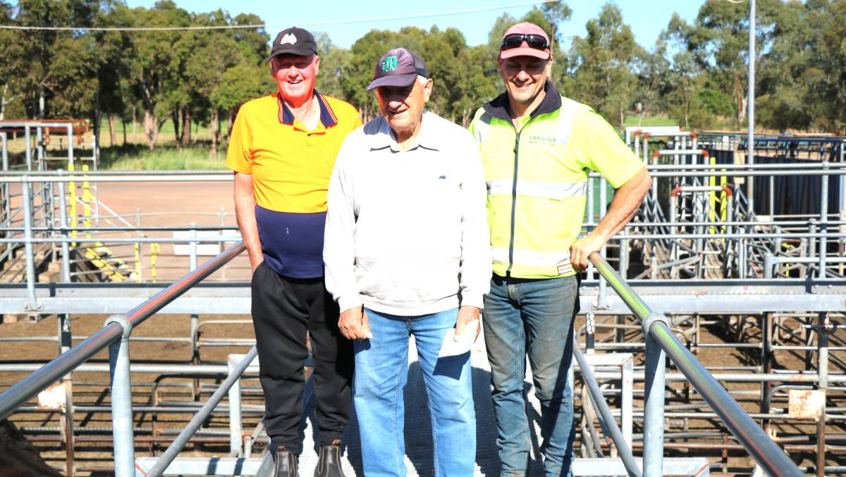 Brunswick locals Brian Warburton (left), Phil Musitano and Steven Carbone, before the Elders sale where Mr Musitano selected and bought four pens of steers for the Carbone familys property.
