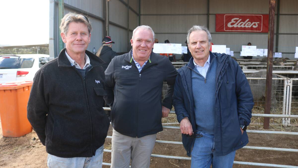 Atlas Farms, Calingiri, representative Phil Christmass (left), farm manager, Kim Gronow and general manager Tim Johnston, who were the volume buyers at the sale, taking home 22 Poll Merino rams.