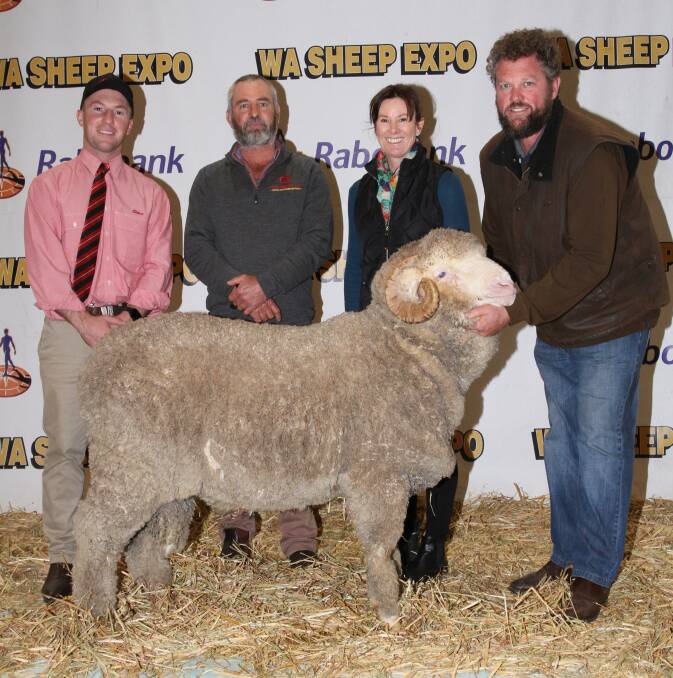 Elders stud stock auctioneer James Culleton (left), buyer Jason Griffiths, Canowie Fields stud, Gairdiner and Angenup stud co-principals Tennille and Paul Norrish, Kojonup, with the March shorn Angenup Merino ram that sold for $8500.