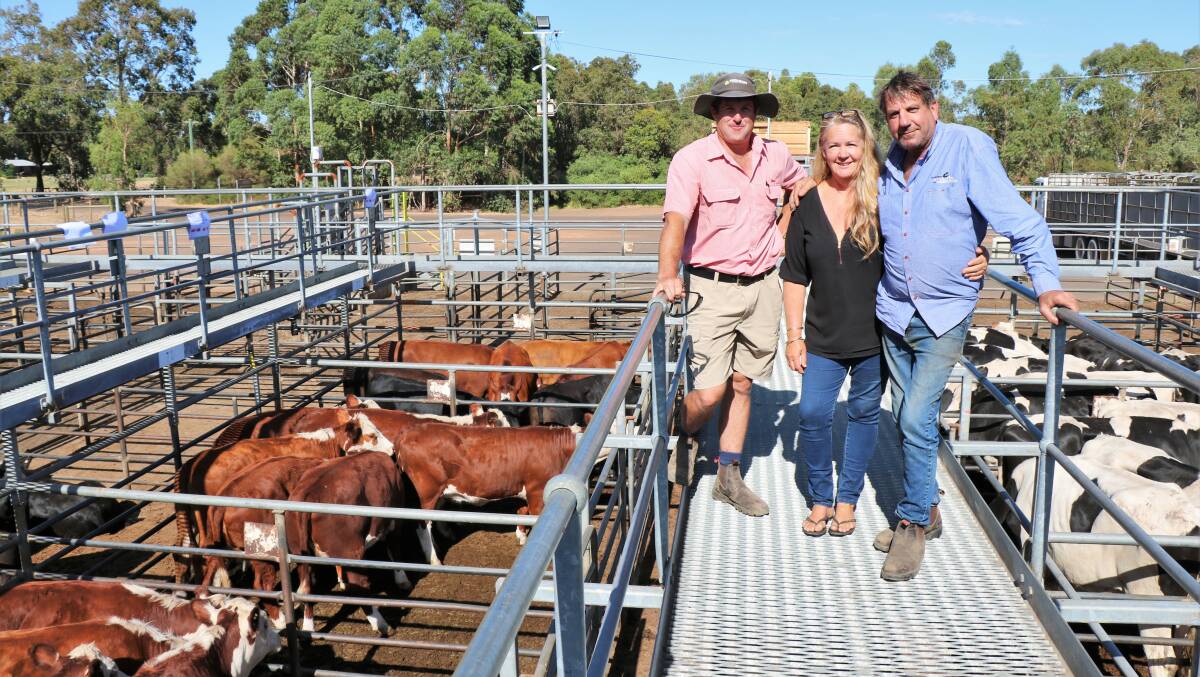 Elders, Brunswick/Harvey agent Craig Martin (left) looked over a pen of Poll Herefords before the sale with Sonja Bode and Scott Talbot, Brunswick, which they later purchased.`