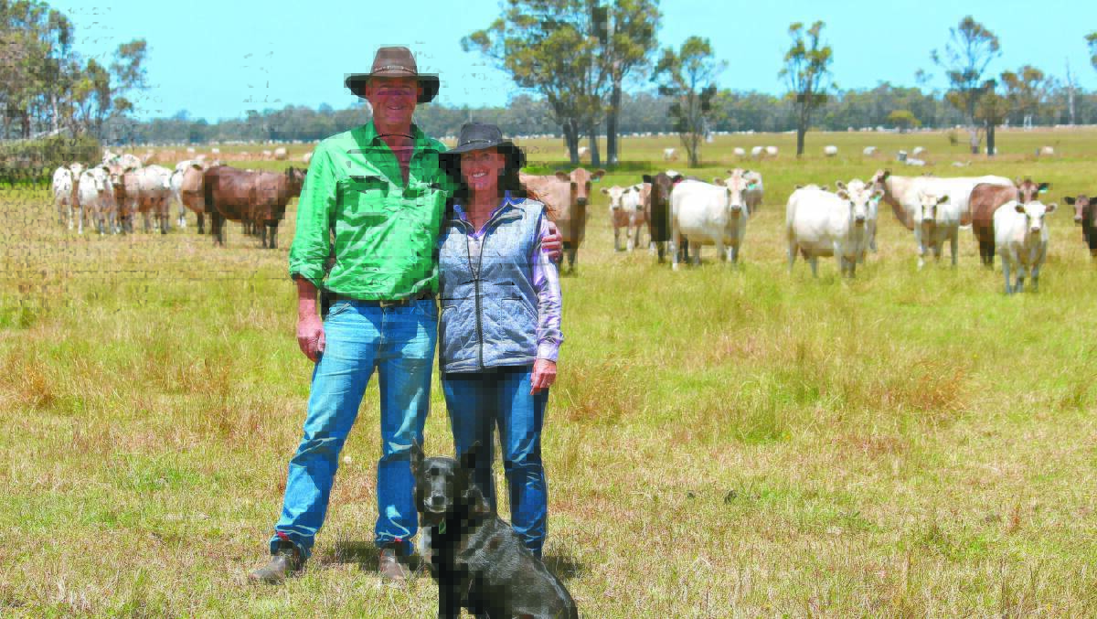  Karridale beef producers Tony and Kathryn Mostert have infused strong female bloodlines into their herd over the years, believing they are the engine room to breeding success.