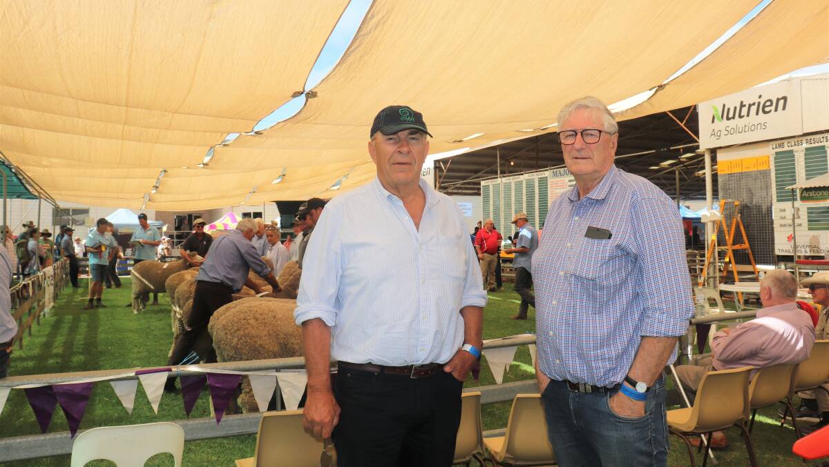 Australian Wool Innovation (AWI) chairman Jock Laurie (left) and AWI Western Australian director David Webster at the Merino judging at the Wagin Woolorama.