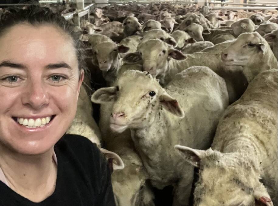 In more recent footage and pictures, Wendy Matthews shared her experience working on a live export ship, something she plans to do more, since deciding 2023 was the year she would start working for herself.