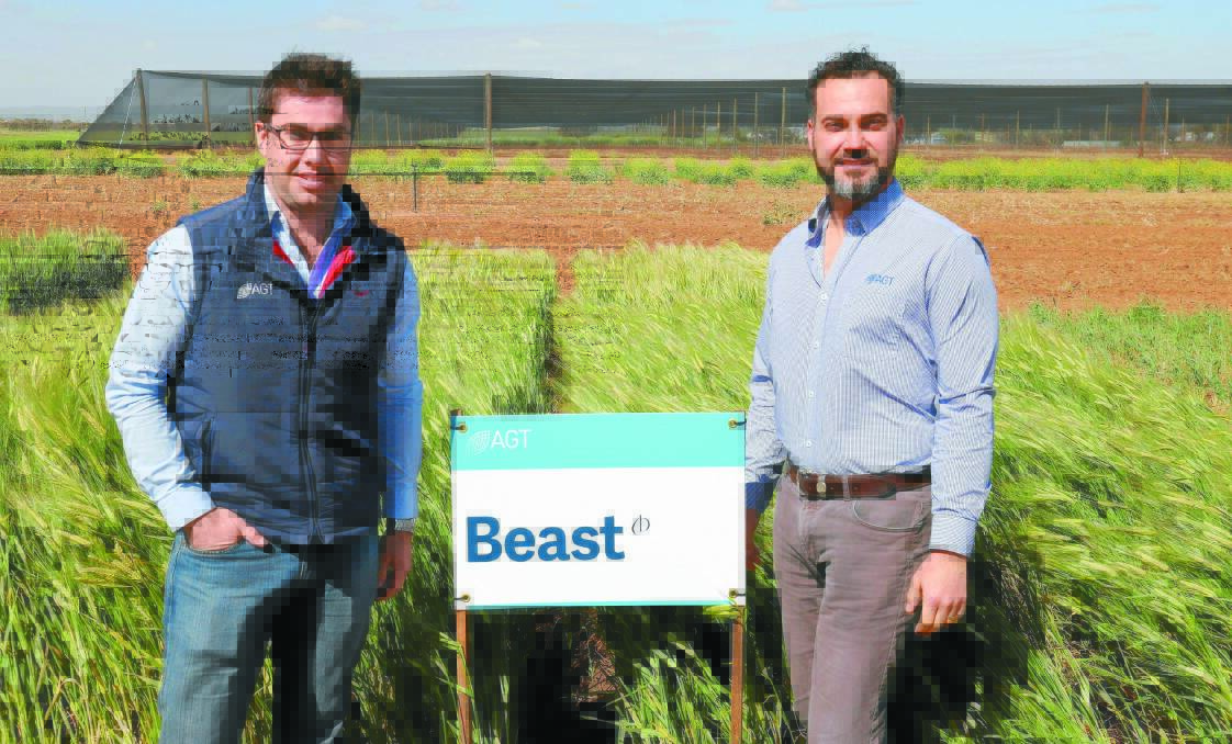  AGT barley breeder Paul Telfer (left) and chief executive officer Haydn Kuchel were excited to launch Beast barley for Australian cereal growers.