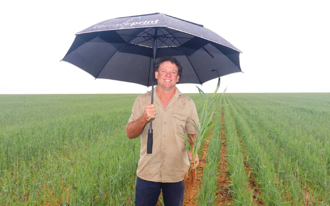 The crops had been hanging on by a thread when the first double digit rainfall event of the growing season came down at the end of last month.