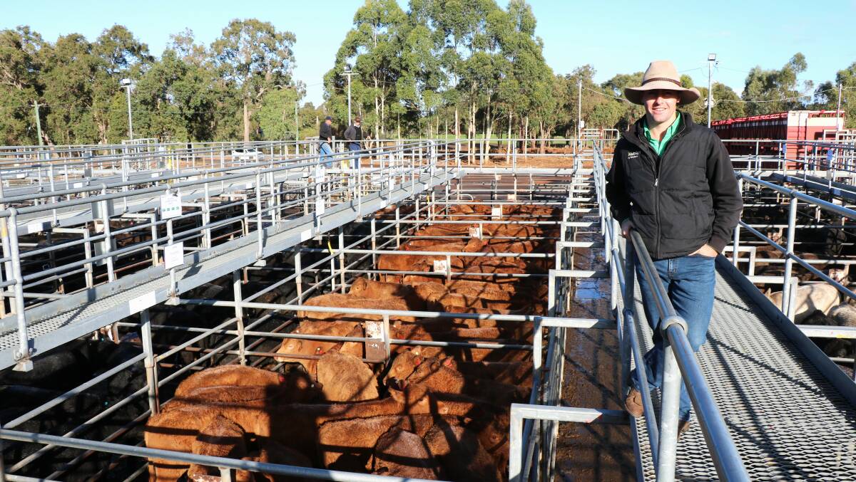 Nutrien Livestock, Peel representative Ralph Mosca (left), with Heath Evans and daughter Hannah, Heytsbury stud, Keysbrook. In the sale Mr Mosca purchased a few pens for their Waroona enterprise.