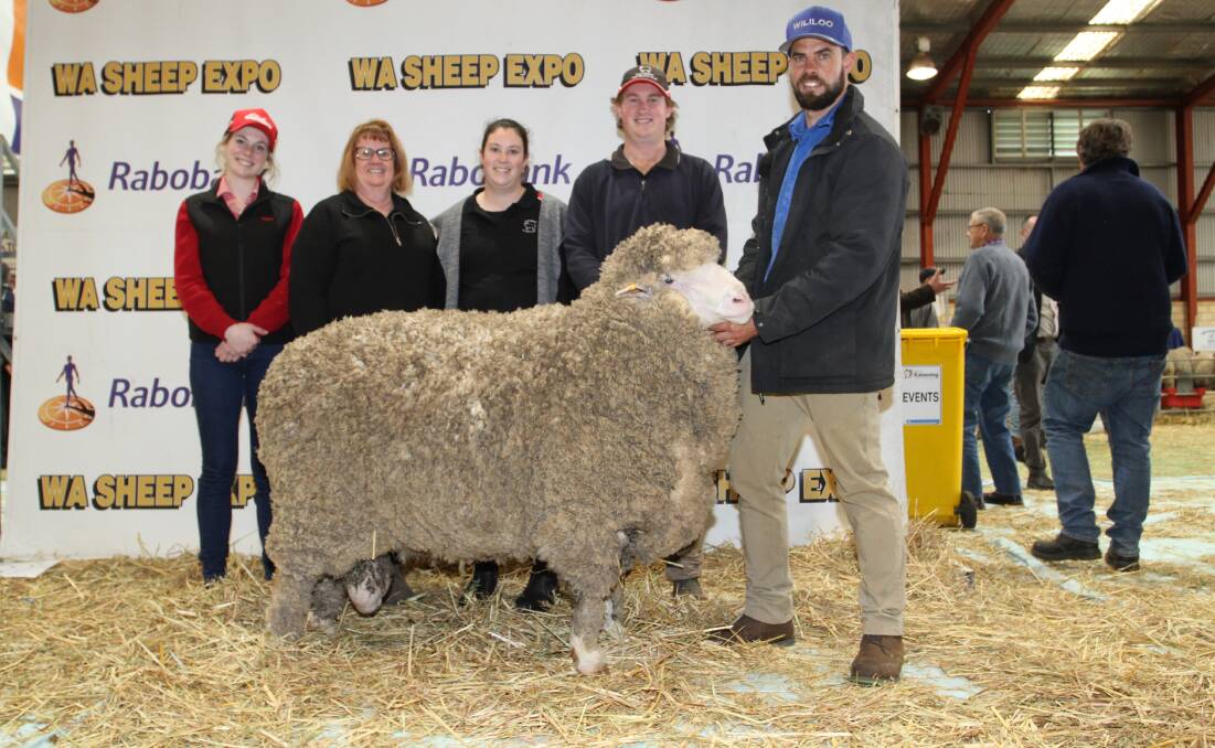 With the August shorn Wililoo Poll Merino ram that sold for $7000 to the Carribber stud, Southern Cross, were Elders Merredin district wool manager Alex Prowse (left), buyers Robyn, Lauren and James Steel, Carribber stud and Wililoo stud co-principal Rick Wise, Katanning.