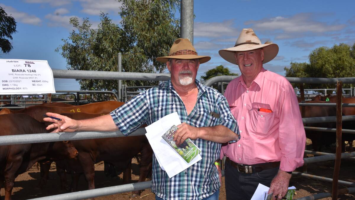 Trevor Hodshon (left), Atley station, Sandstone, was helped out with his purchasing in the sale by Elders, Geraldton representative Alan Browning. During the auction Mr Hodshon purchased eight Biara bulls to a top of $8000 and an average of $6250.