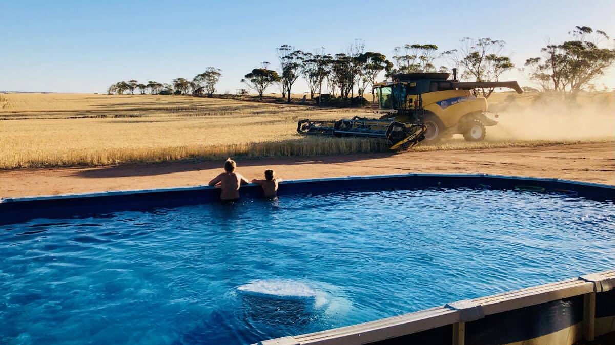 De Strange snapped this photo of husband Leigh harvesting the home paddock at Cotswold Farms, Bruce Rock, while the kids looked on from the pool. Photo by De Strange, Strange Images Photography.