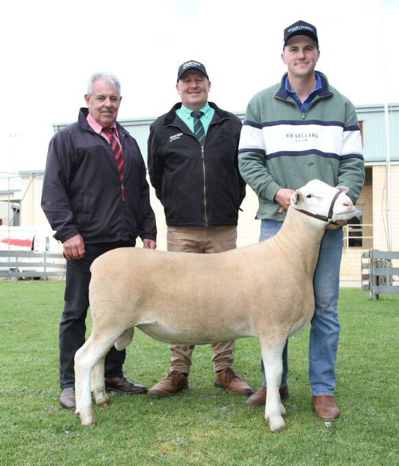 With the Yonga Downs White Suffolk ram that sold for the sale's $8400 second top price to the Cascade White Suffolk stud, Esperance, were Preston Clarke (left), Elders stud stock, Roy Addis, Nutrien Livestock Breeding and Yonga Downs stud principal Brenton Addis, Gnowangerup.