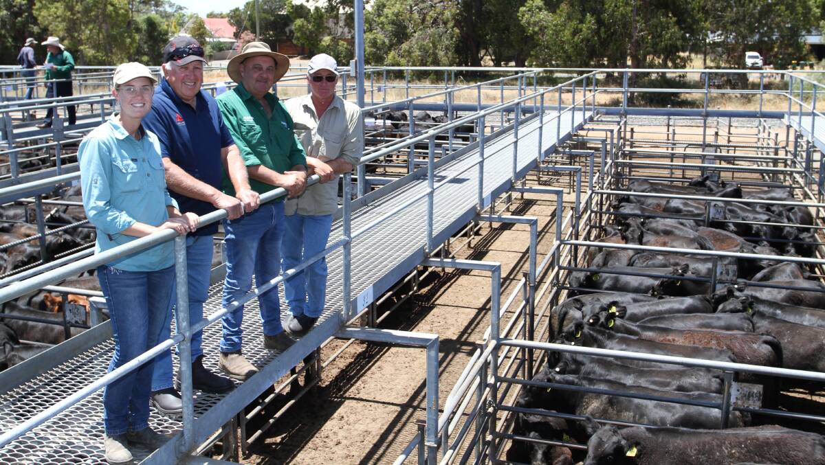 Nutrien Livestock, Peel representative Ralph Mosca (second right) and Murray River Farm connections Kyah Tocknell, Daryl Robinson and Andy Robertson with Murray River Farm's draft of 100 Angus steer weaners that sold to $2202 and 632c/kg at the sale.