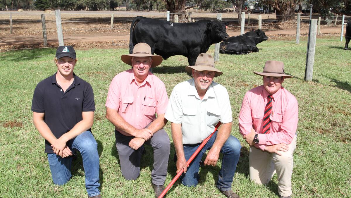 Connor DeCampo (left), Bonnydale stud, Bridgetown, Elders WA cattle manager Michael Longford, Bonnydale stud co-principal Rob Introvigne and Elders Donnybrook representative Pearce Watling, with the $21,000 second top-priced bull Bonnydale Roosevelt T98 (by TJ Roosevelt 366E), purchased by the Newnham family, Newblax Black Simmental and SimAngus studs, Euroa, Victoria, via phone with Mr Longford.