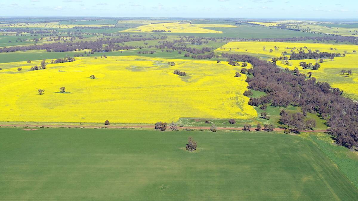 Atlerra is due to sell part (913 hectares) of its premium Dandaragan property to a local farmer for $3.1 million. Photo: supplied.