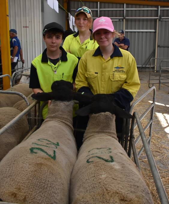 Esperance Farm Training Centre students Ace Challinger (left), Lily Daw and Taia Farnham-Offer with rams from their Escholar Suffolk stud. The stud offered and sold four rams in the sale all for $600.