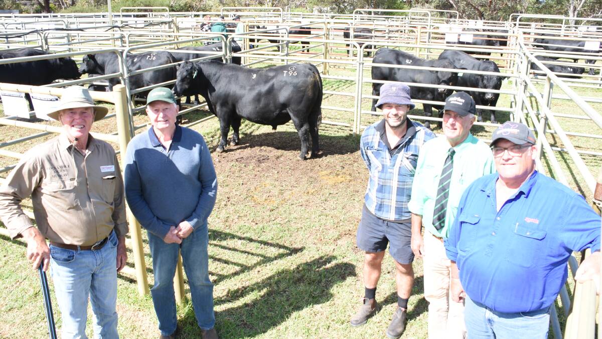 The Davis family sold the seasons $32,000 fourth top-priced bull and top-priced British Breed bull (twice) at the Coonamble Angus studs on-property bull sale at Bremer Bay in February. With the first bull, Coonamble Paratrooper T96 (AI) (by Millah Murrah Paratrooper P15), to sell at $32,000, to the Bairstow family, Arizona Farms, Lake Grace, were Coonamble co-principal Murray Davis (left), buyers Noel and Luke Bairstow, Nutrien Livestock Great Southern manager Bob Pumphrey and top price sponsor Ben Fletcher, Zoetis.