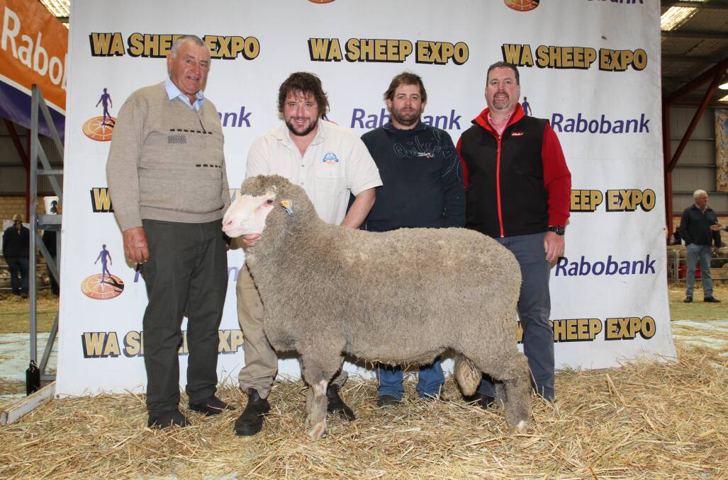 Buyer Bill Cowan (left), Crichton Vale stud, Narembeen, Clinton and Sheldon Blight, Seymour Park stud, Highbury and Seymour Park stud classer Nathan King, Elders stud stock, with Seymour Parks March shorn Poll Merino ram that sold for $10,000 to the Crichton Vale stud.