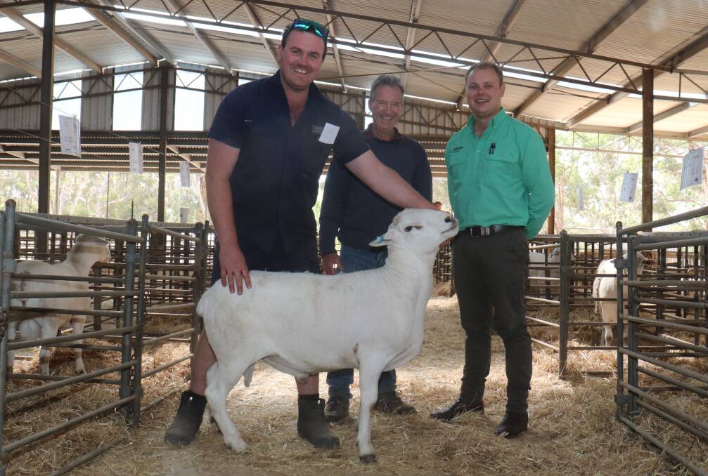 With the $2700 top price Australian White ram at this years Babanginy sale was Babanginys Rhys Muir (left), buyer Wayne Littleton, AM Littleton & Son, Quindanning, and Nutrien Kojonup branch manager Stuart Richardson.