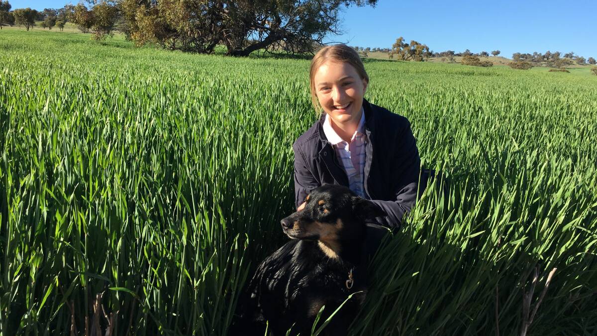  Indi Lamond has always been around agriculture and is in her third year of an Agribusiness Degree at Curtin University.