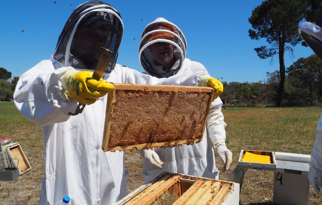 Beekeepers attending a WA Apiarist Society training course at its Kensington Training Centre. WAAS runs regular hands-on training courses and has a lot of beekeeping information on its website and Facebook page. Photo from WAAS.